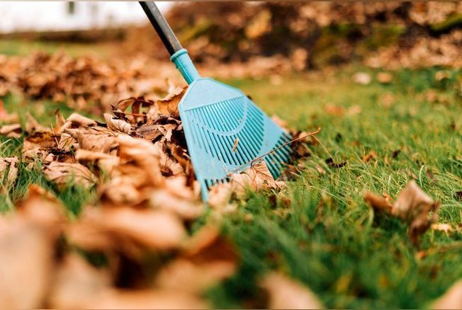 Pelouse : c’est le moment de tondre votre jardin une dernière fois avant l’hiver