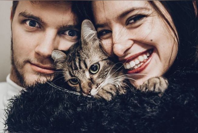 Conjoint ou chat : qui les Français prennent-ils le plus souvent en photo ?