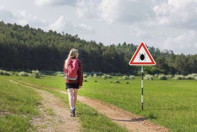 Piqûres de tiques : un expert partage 5 conseils peu connus mais très utiles pour bien se protéger